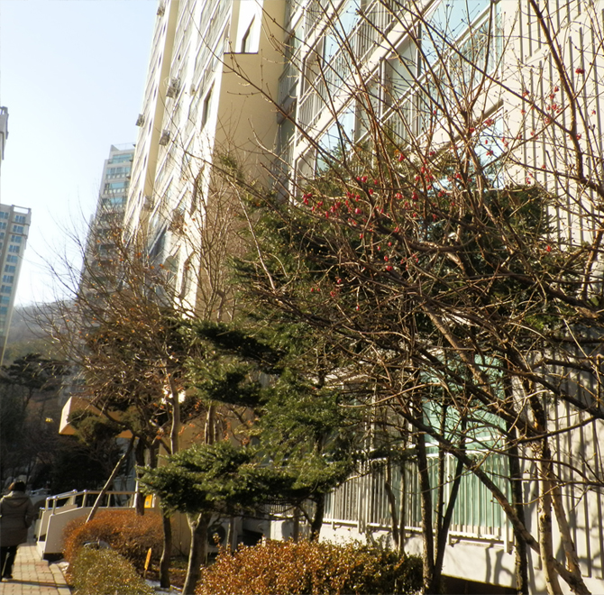 이미지9